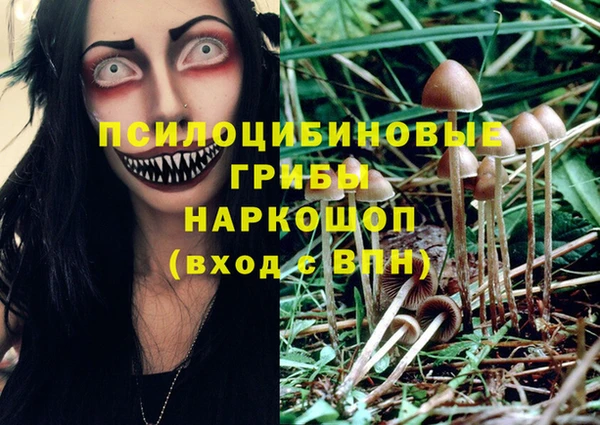 героин Алзамай