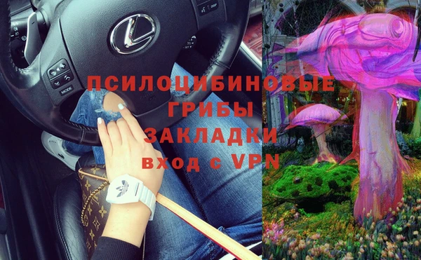 героин Алзамай