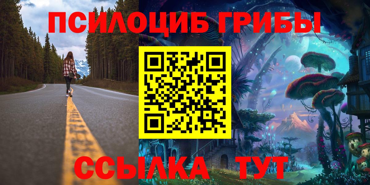 Татарск  Псилоцибиновые грибы MAGIC MUSHROOMS  Вход с VPN  Галлюциногенные грибы прущие грибы 