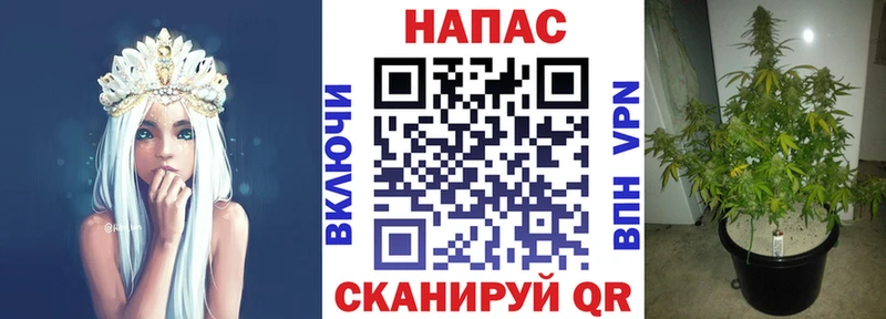 блэк спрут   Татарск  Конопля OG Kush 